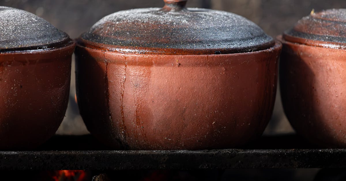 Food preparation showing how cooking methods alter nutritional content
